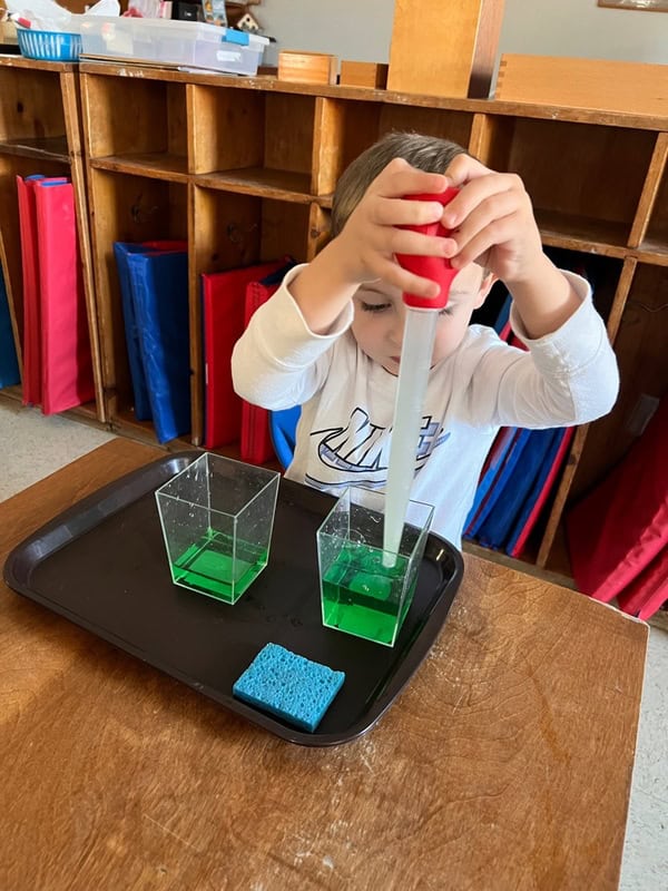 montessori-toddler-learning A child uses a large dropper to transfer green liquid between two square plastic containers on a tray, with a blue sponge nearby.